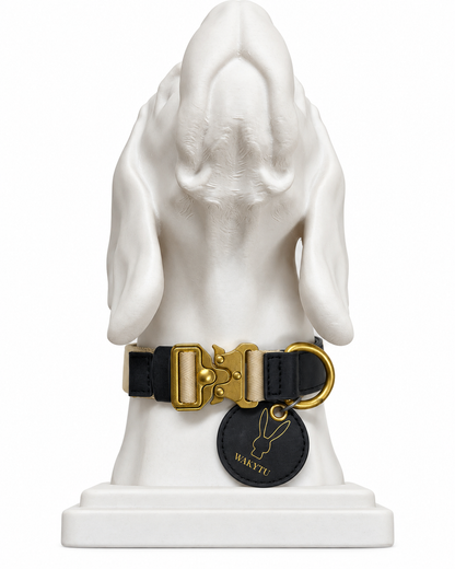 WAKYTU Edinburgh hondenhalsband en riemset – Zwart met goudkleurige details
