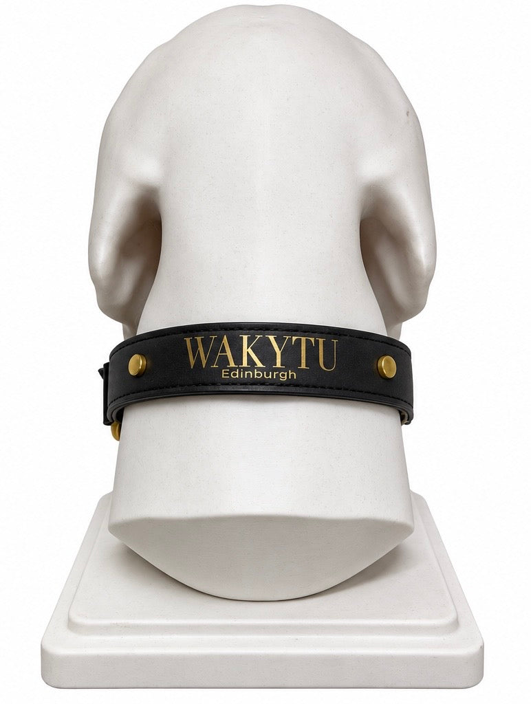 WAKYTU Edinburgh hondenhalsband en riemset – Zwart met goudkleurige details