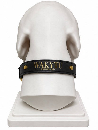 WAKYTU Edinburgh hondenhalsband en riemset – Zwart met goudkleurige details