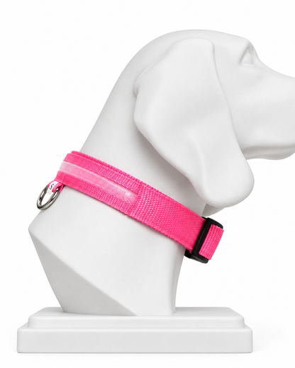 Hondenhalsband met verlichting – roze