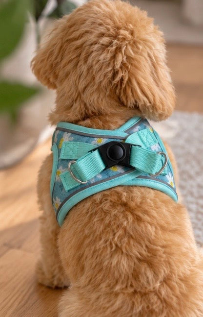 Hondentuigje – Turquoise met Bloemenprint